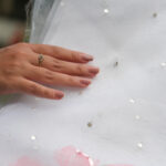 Organza Highlight Saree with Sequin Work